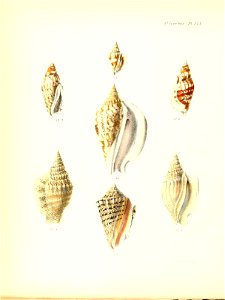 n513_w1150