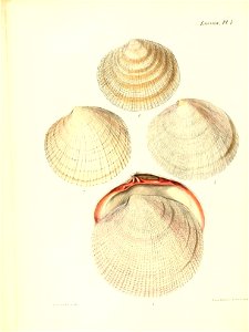 n263_w1150