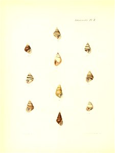 n195_w1150