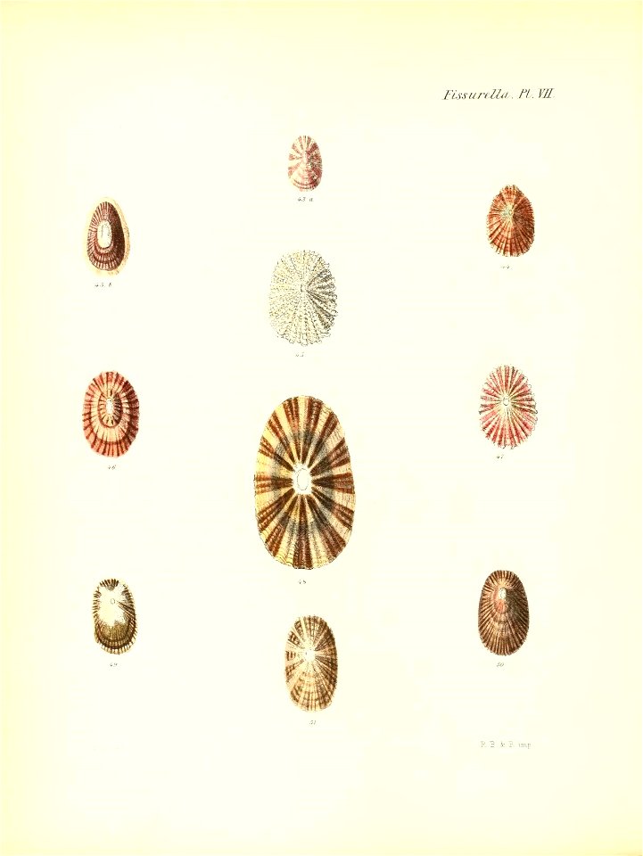 n127_w1150