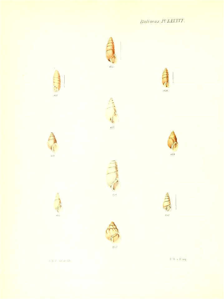 n355_w1150