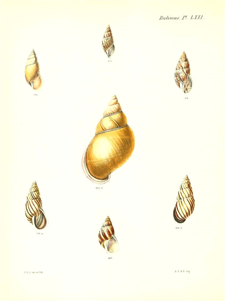 n295_w1150