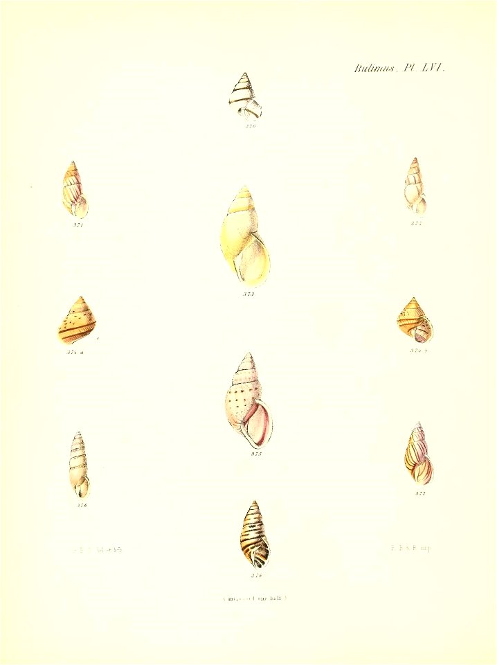 n233_w1150