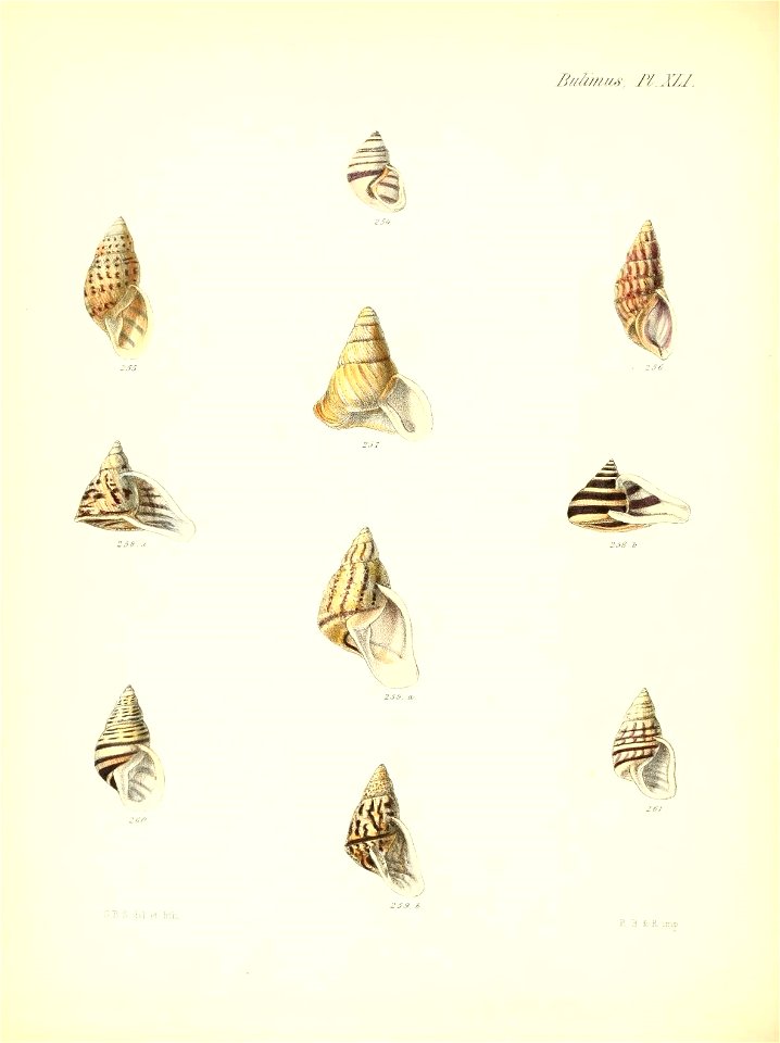 n173_w1150