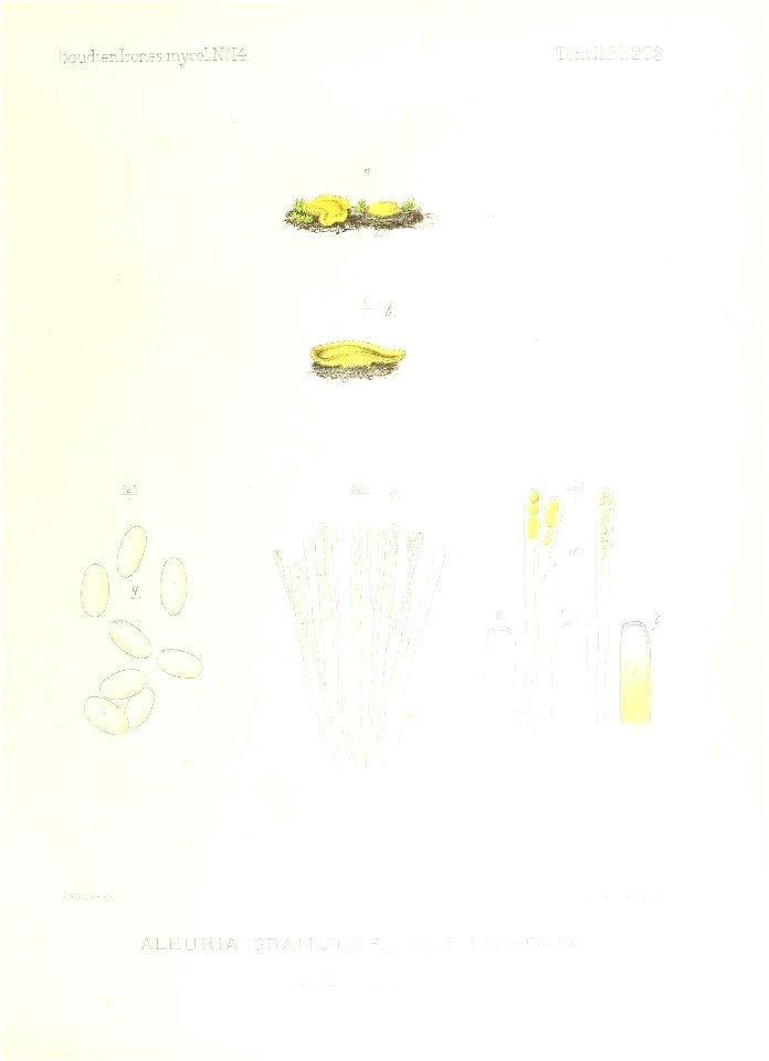 n180_w1150