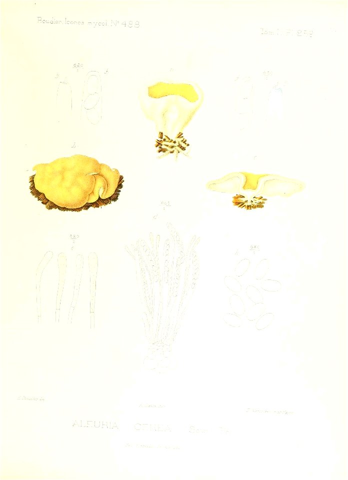 n150_w1150