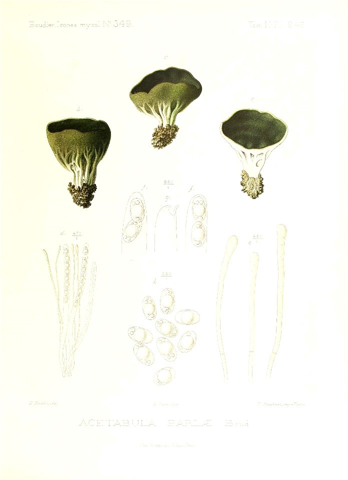 n120_w1150
