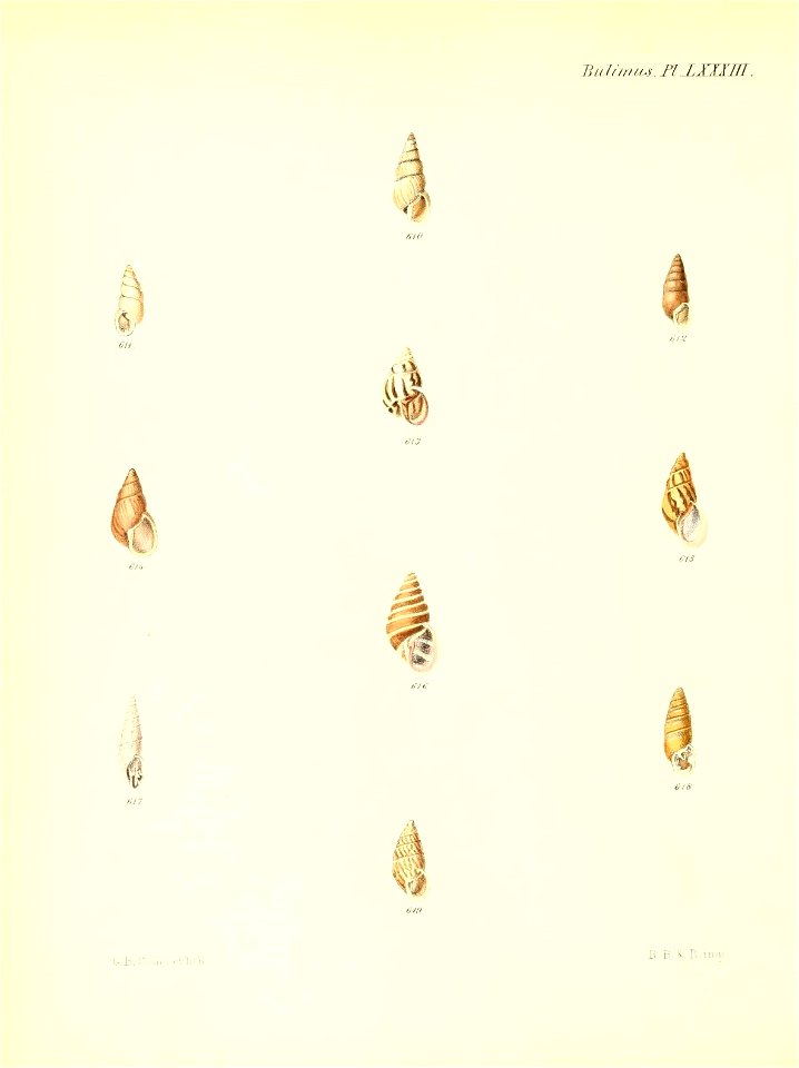 n343_w1150