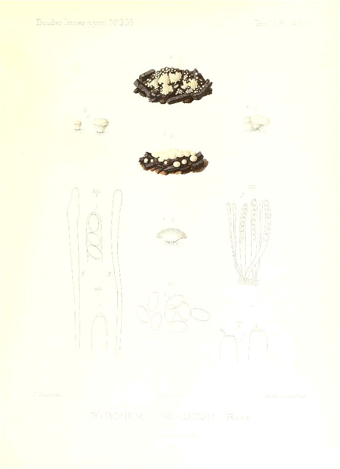 n474_w1150
