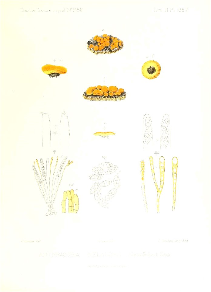n408_w1150