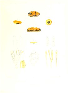 n408_w1150