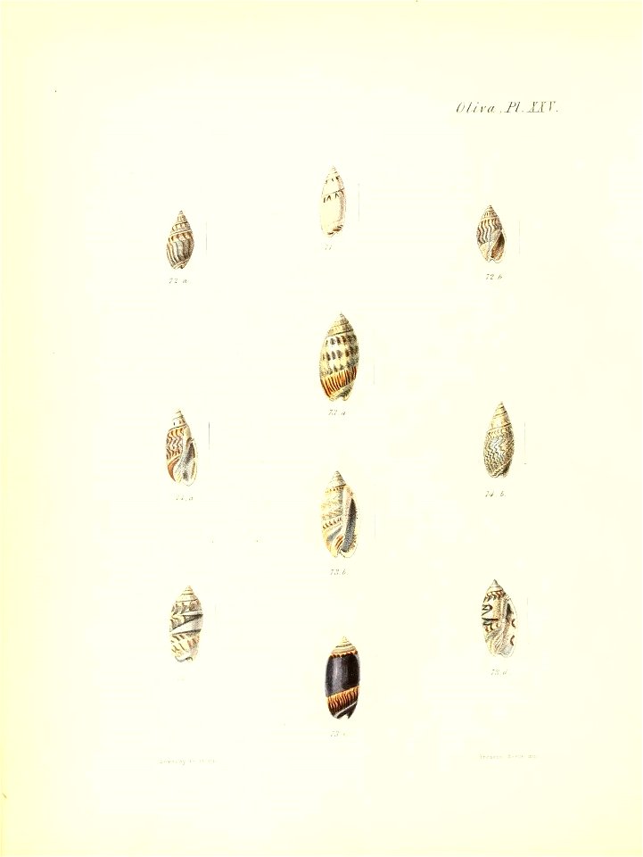n413_w1150