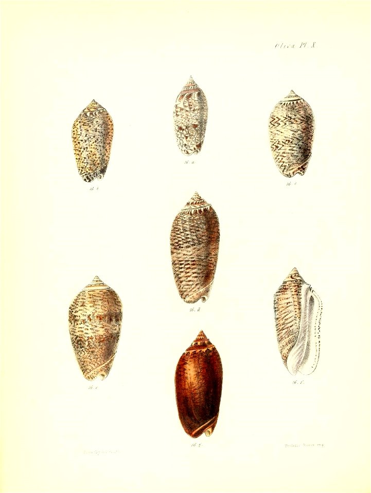 n353_w1150