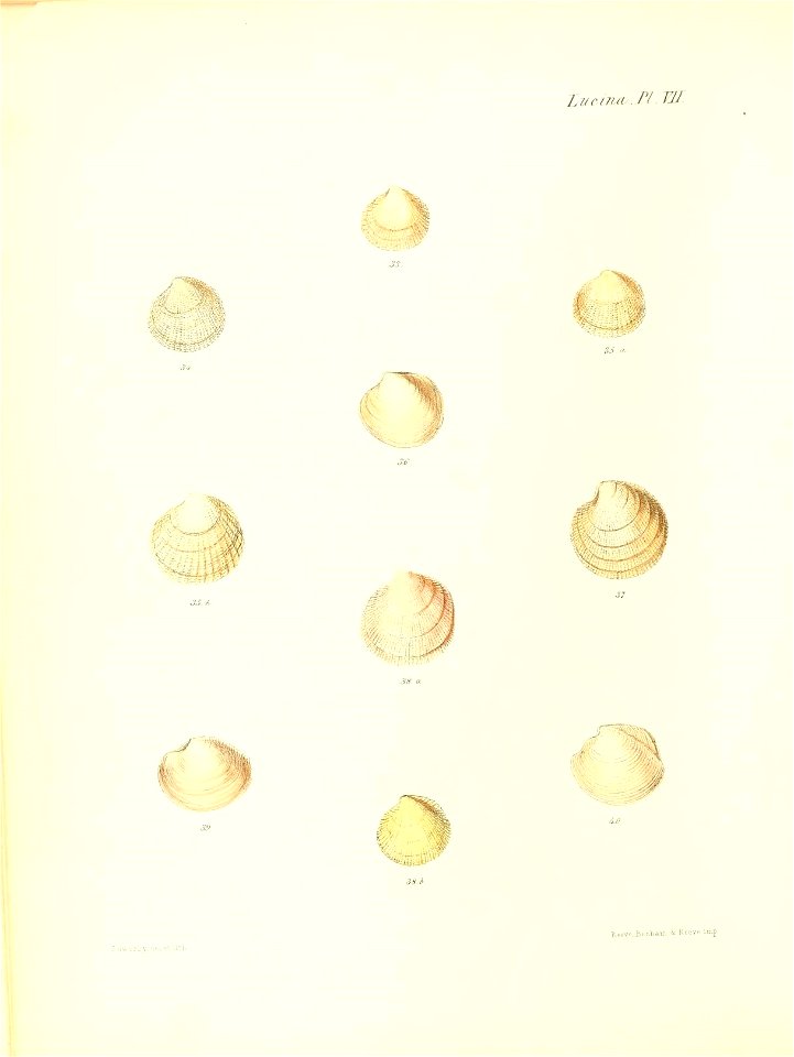 n287_w1150