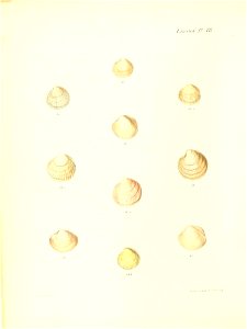 n287_w1150
