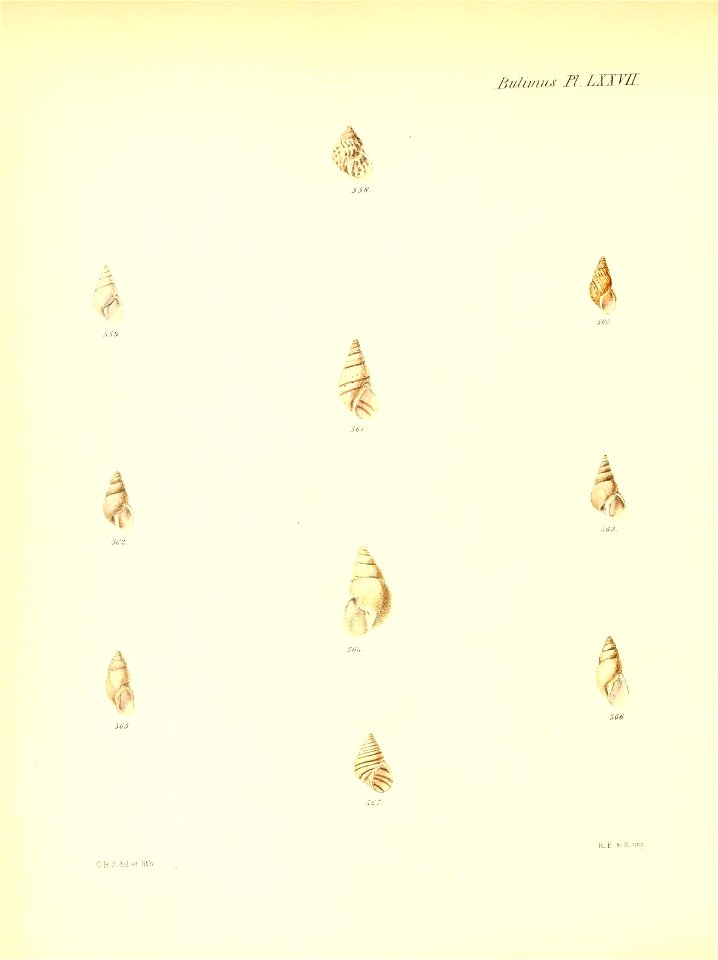 n319_w1150