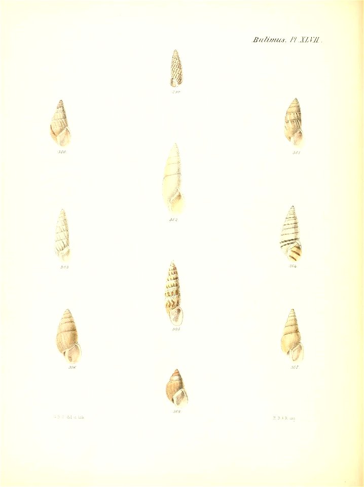 n197_w1150