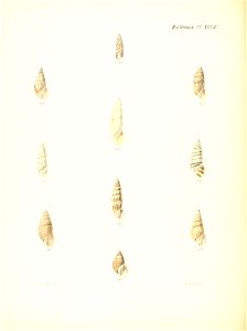 n197_w1150