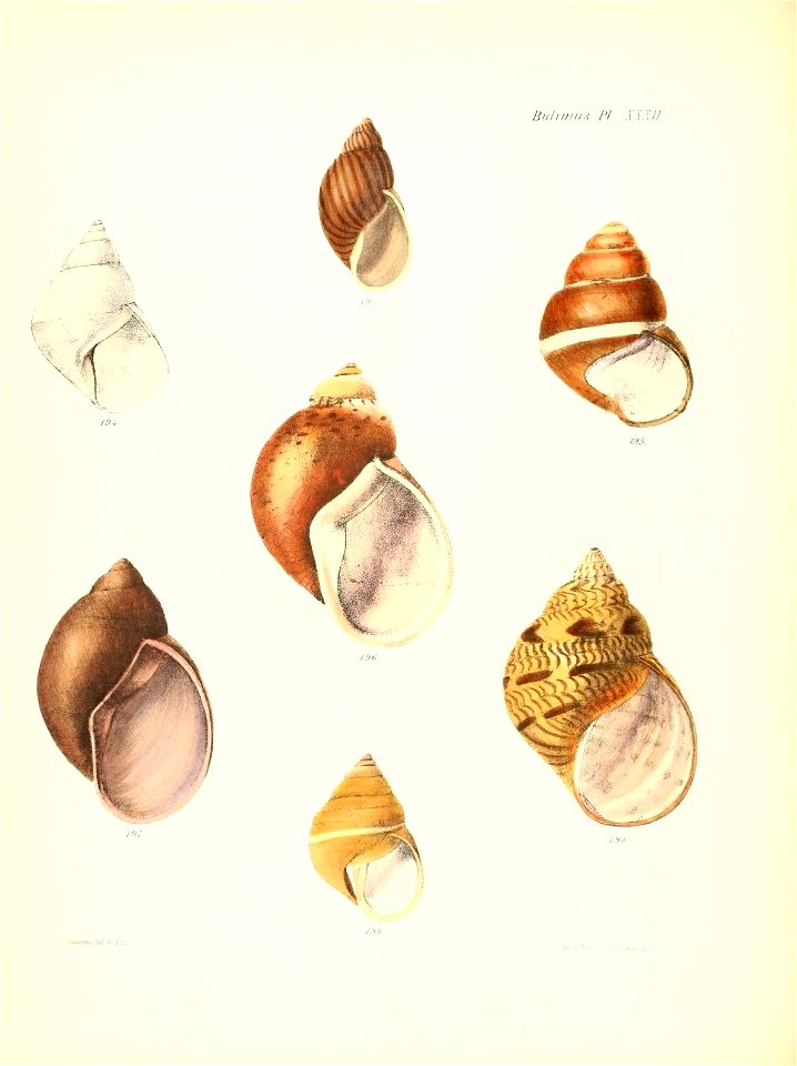 n137_w1150