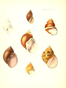 n137_w1150