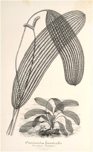 n172_w1150