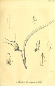 n110_w1150