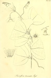 n456_w1150