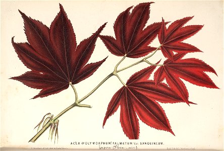 n141_w1150