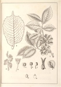 n69_w1150