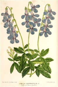 n121_w1150