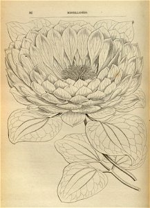 n211_w1150