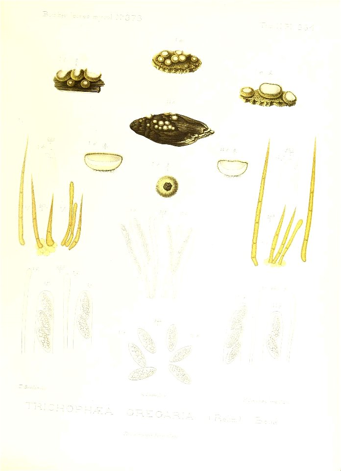 n362_w1150