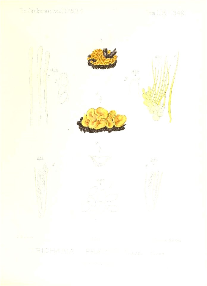 n332_w1150