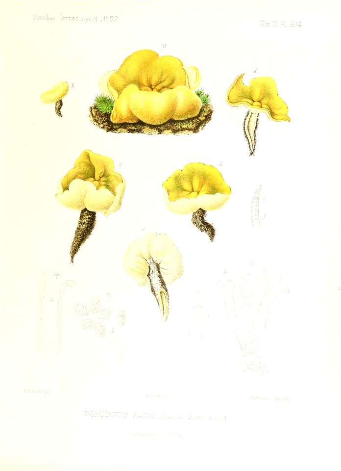 n302_w1150