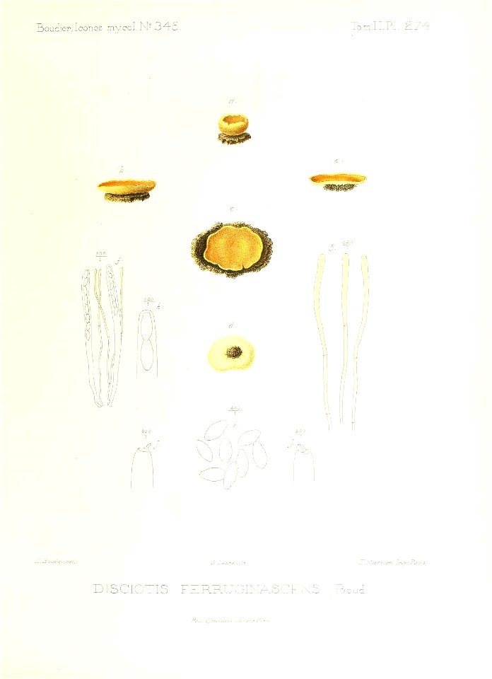 n182_w1150