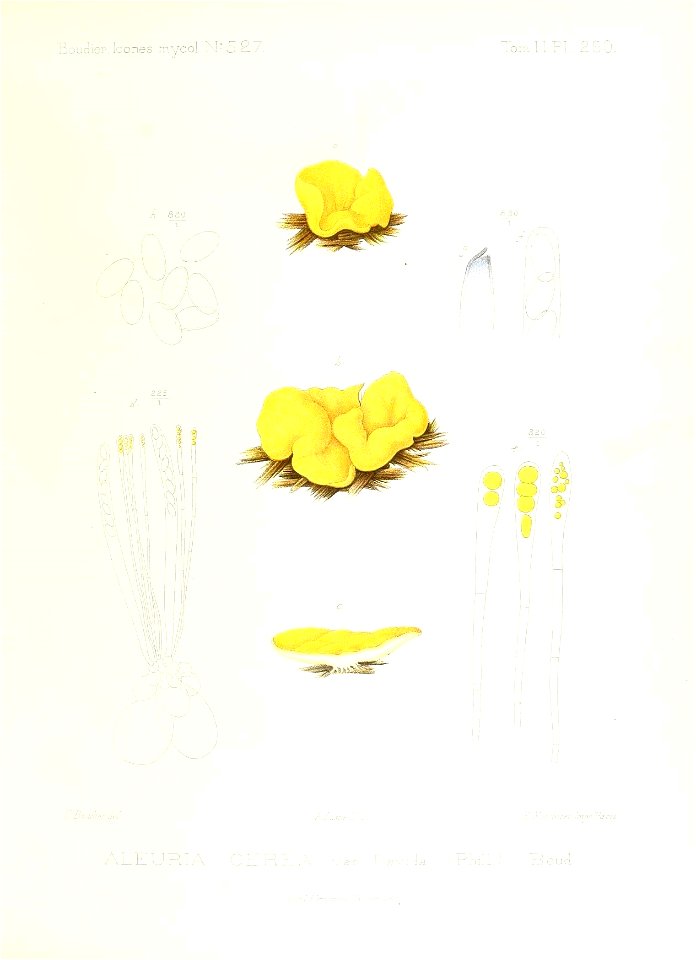 n152_w1150