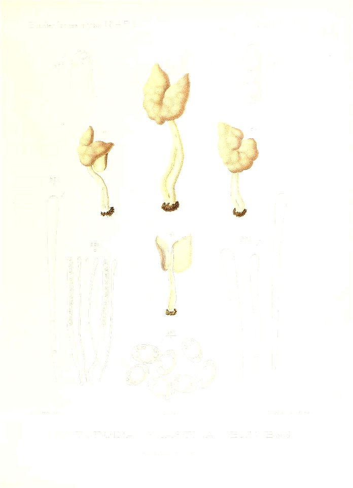 n92_w1150
