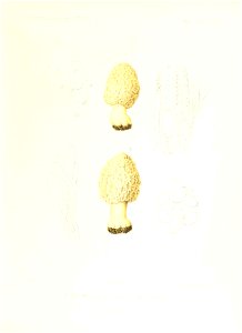 n32_w1150