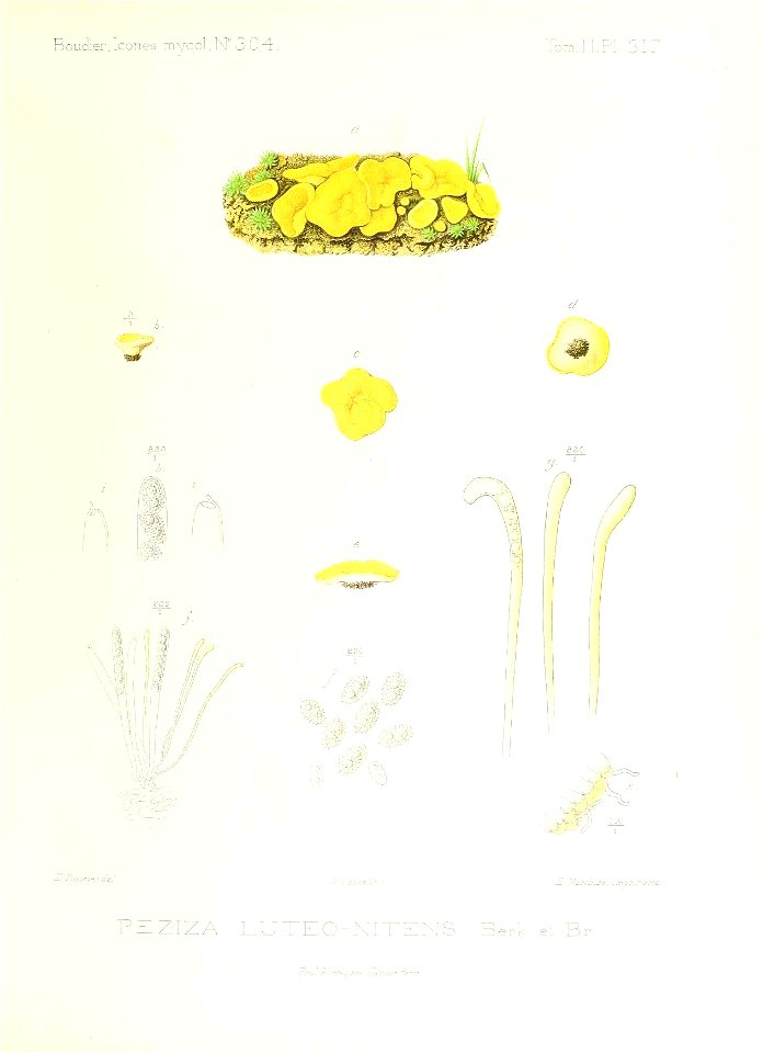 n268_w1150