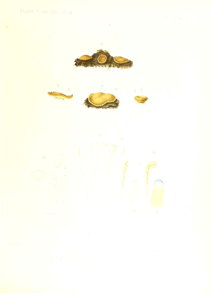 n178_w1150