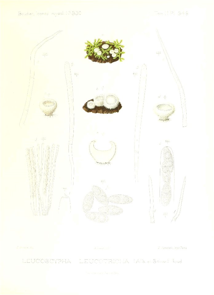 n326_w1150