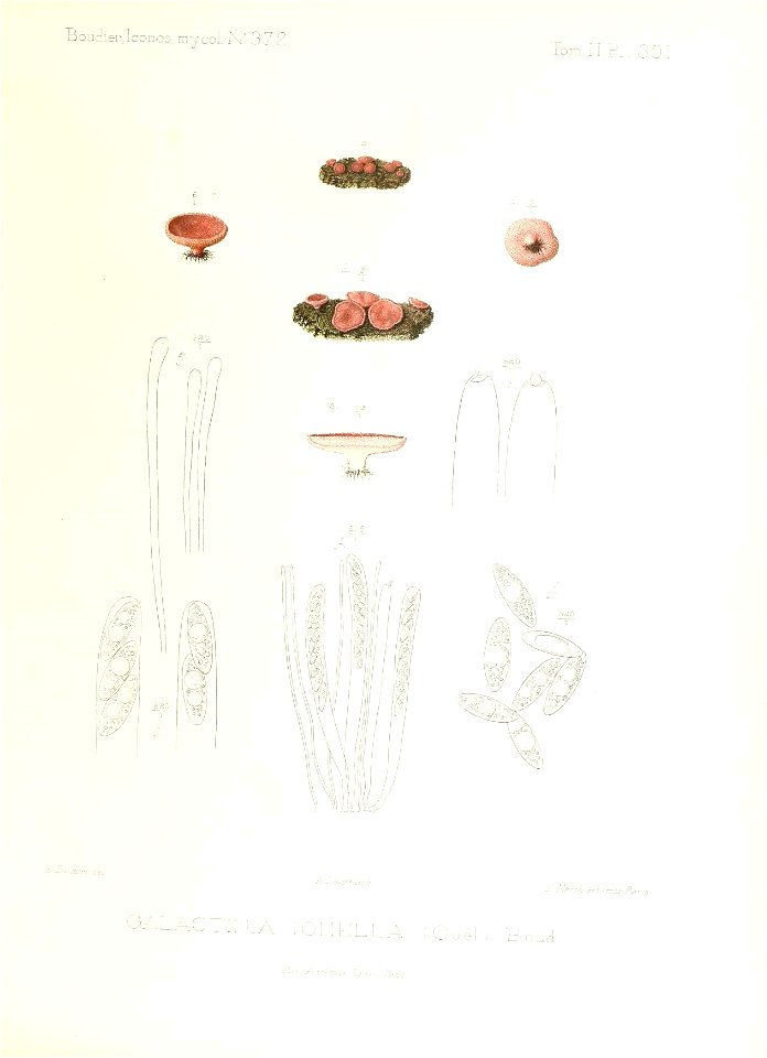 n236_w1150
