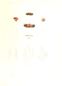 n236_w1150