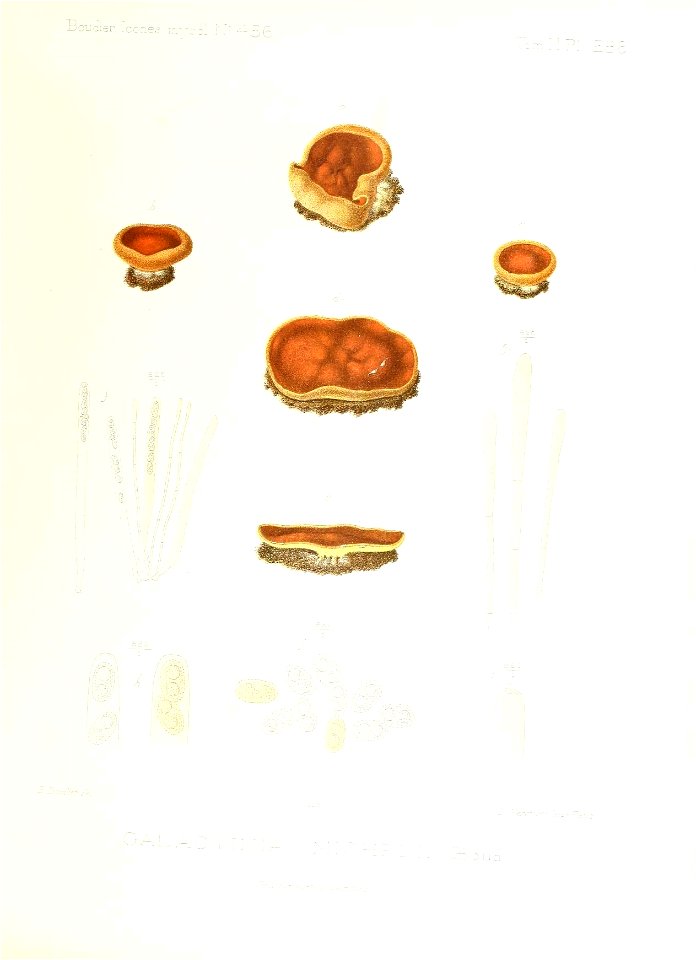 n206_w1150