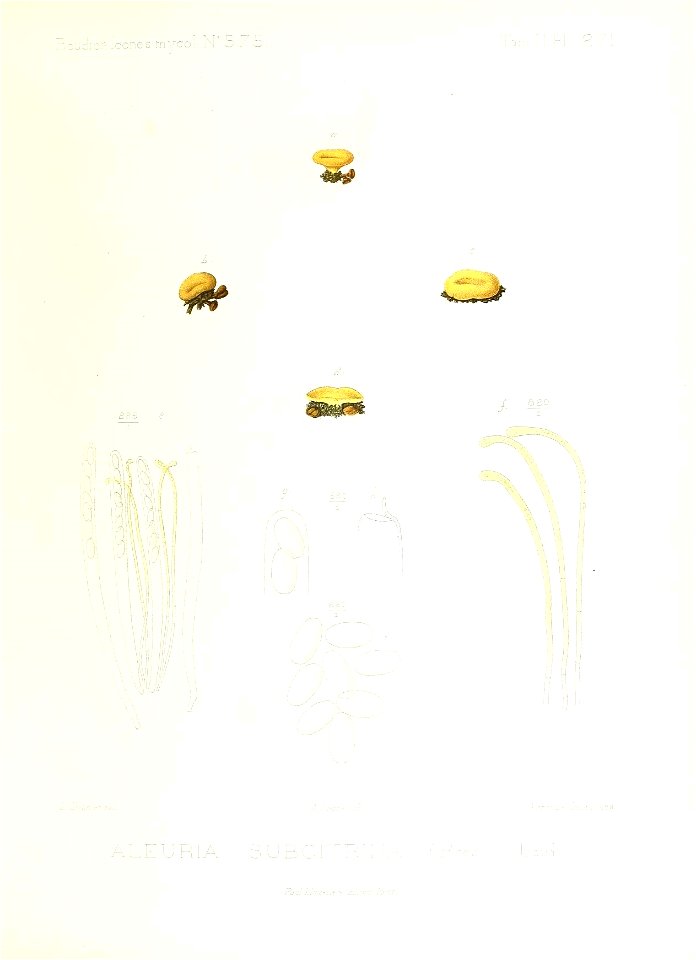 n176_w1150