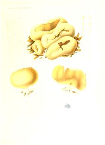 n146_w1150