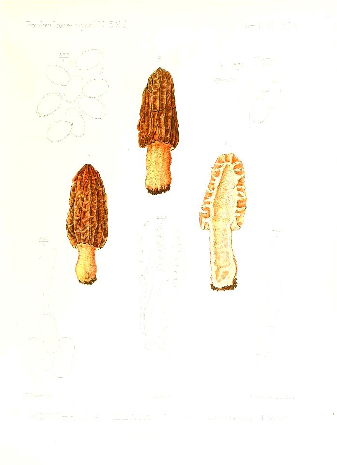 n56_w1150