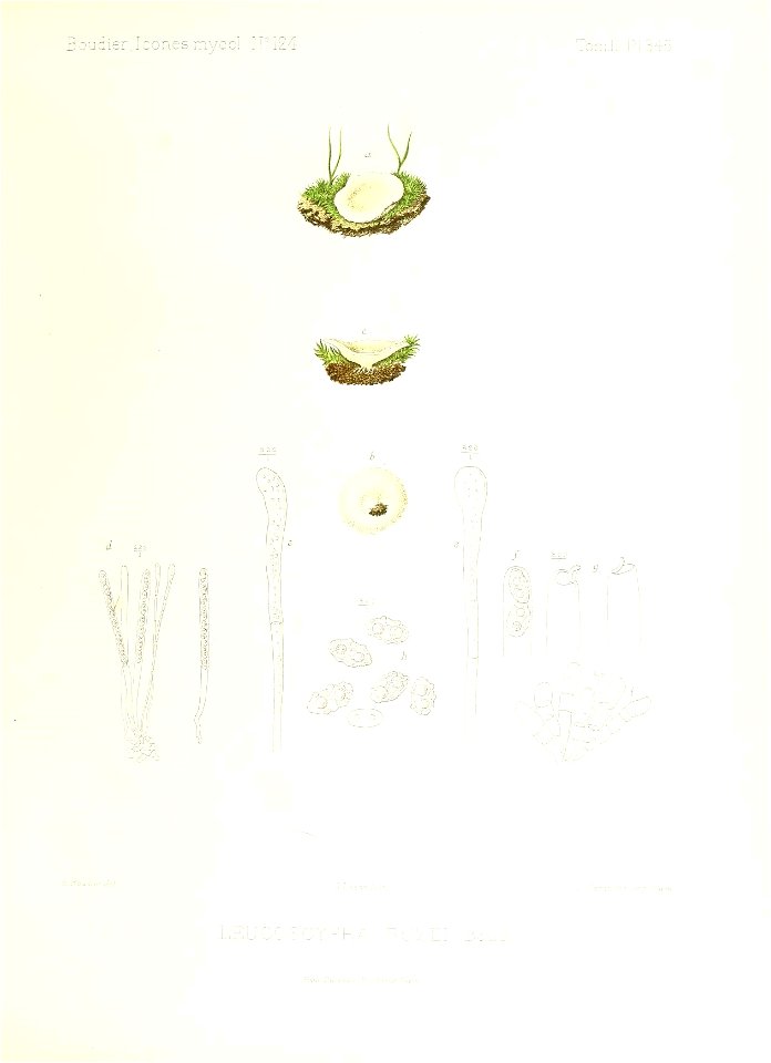 n324_w1150