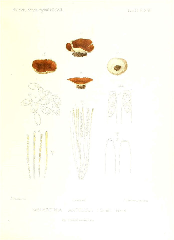 n234_w1150