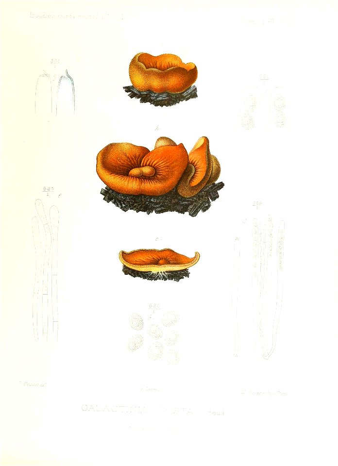 n204_w1150